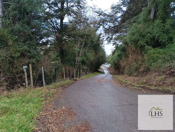 4. 4,49 Ha en Quinchao | Acceso pavimentado, factibilidad eléctrica y vertientes
