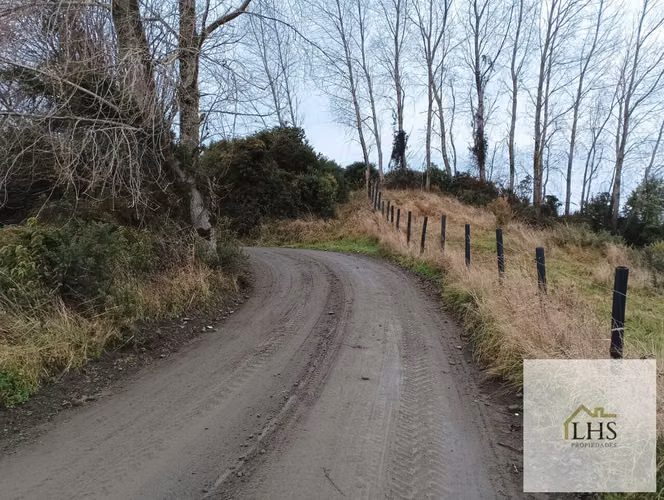 4,49 Ha en Quinchao | Vista al Mar, Agua y Acceso Pavimentado