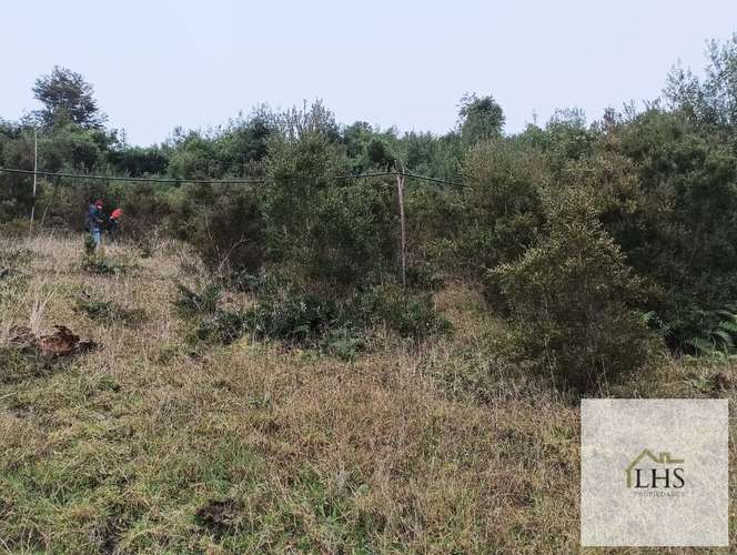 4. 4,49 Ha en Quinchao | Acceso pavimentado, factibilidad eléctrica y vertientes