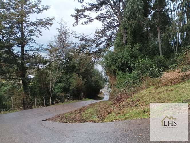 4. 4,49 Ha en Quinchao | Acceso pavimentado, factibilidad eléctrica y vertientes