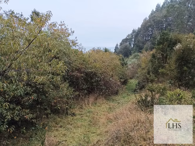 4,49 Ha en Quinchao | Vista al Mar, Agua y Acceso Pavimentado