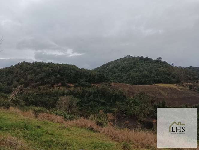 4. 4,49 Ha en Quinchao | Acceso pavimentado, factibilidad eléctrica y vertientes