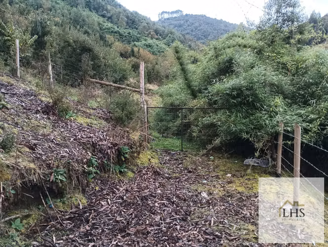 4,49 Ha en Quinchao | Vista al Mar, Agua y Acceso Pavimentado