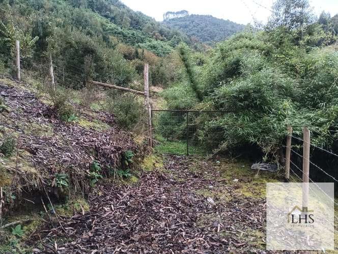 4. 4,49 Ha en Quinchao | Acceso pavimentado, factibilidad eléctrica y vertientes