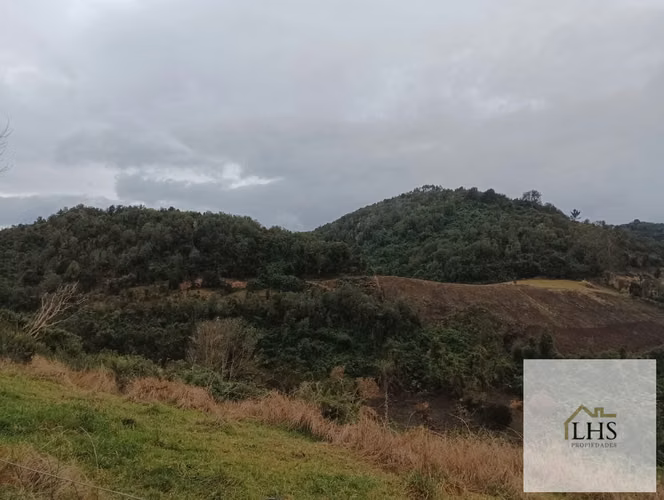 4,49 Ha en Quinchao | Vista al Mar, Agua y Acceso Pavimentado