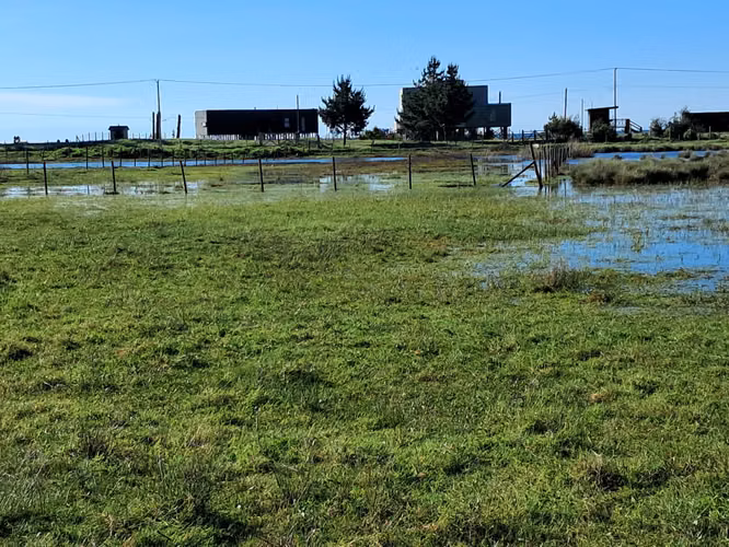 MARAVILLOSA PARCELA AGROHABITACIONAL ARAUCO