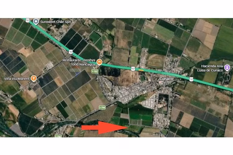 ¡exclusiva parcela con viña en colchagua!