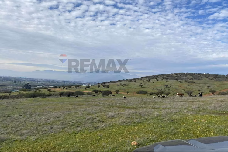 Oportunidad: 5.000 m² planos en limache - Imagen 4