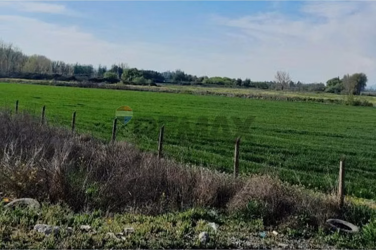 Oportunidad de inversión en paine – sector oriente - Imagen 3