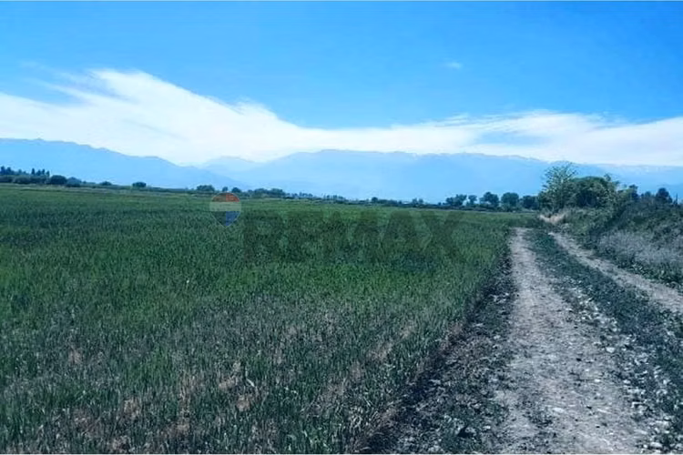 Oportunidad de inversión en paine – sector oriente - Imagen 5