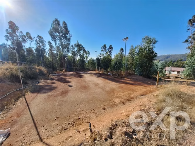 Venta Sitio con Casa 200m2 4 dorm. en Marchigue - Imagen 15