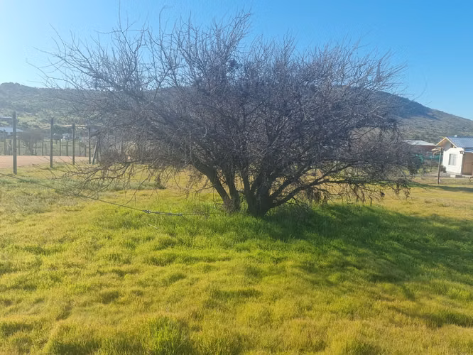 "OPORTUNIDAD" Parcela con agua en Fundo El Molino, Marchigue