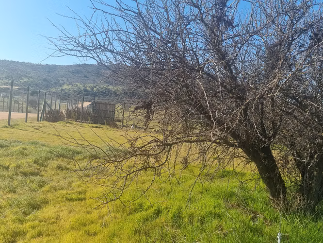 "OPORTUNIDAD" Parcela con agua en Fundo El Molino, Marchigue