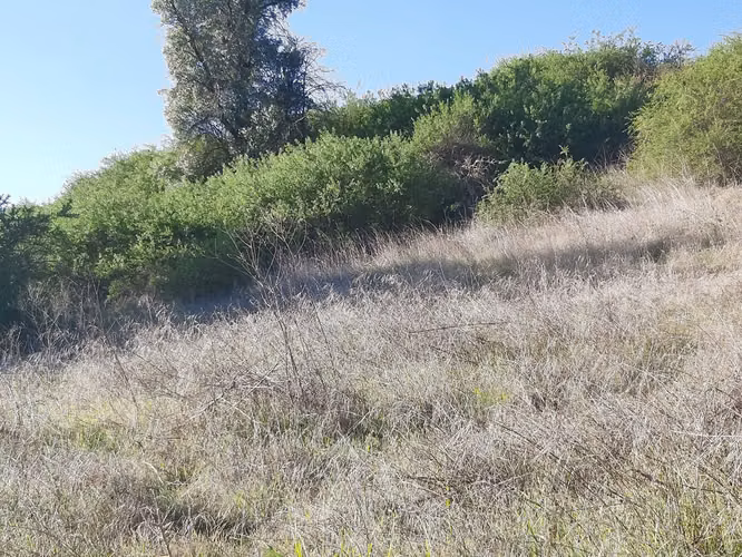 Parcela en Litueche, parcelación Piraino - Imagen 5