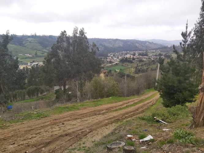 Vendo parcela de 5.000 mtrs2 con casa en Lo Abarca - Imagen 19