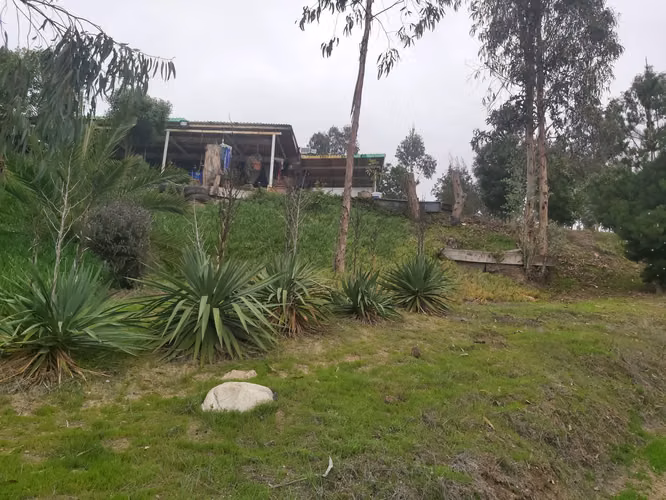 Vendo parcela de 5.000 mtrs2 con casa en Lo Abarca - Imagen 5