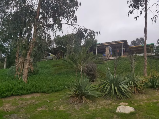 Vendo parcela de 5.000 mtrs2 con casa en Lo Abarca - Imagen 23