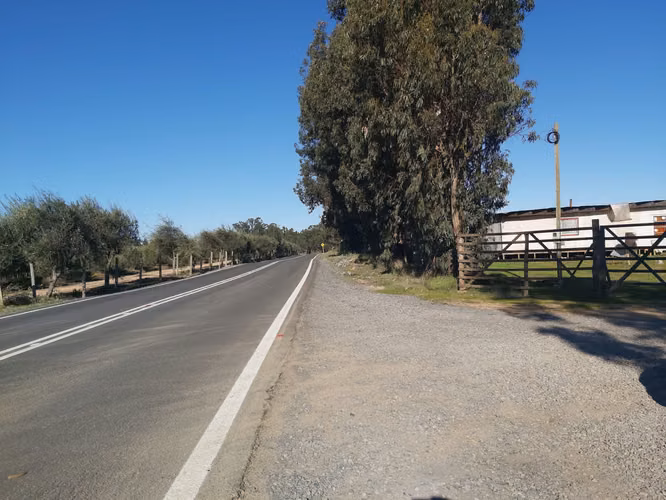 Parcela 100%plana en Litueche - Imagen 14