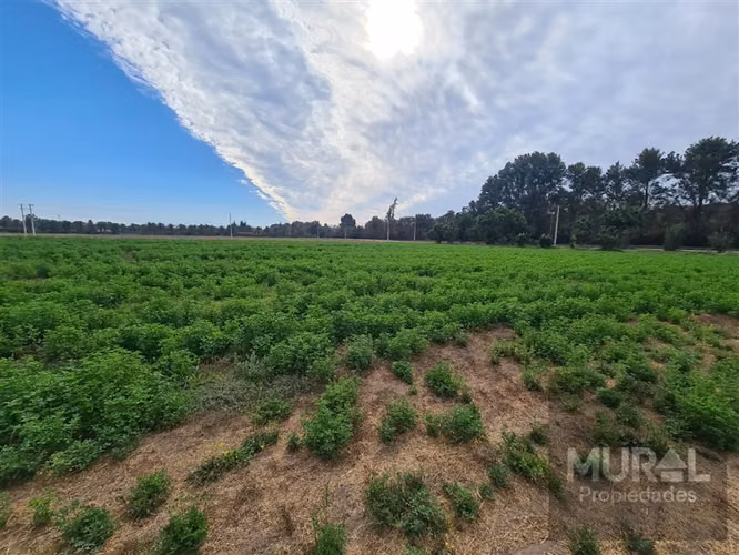 Vendo Ultimas Parcelas,condominio seguro,Trebulco,I d Maipo - Imagen 22