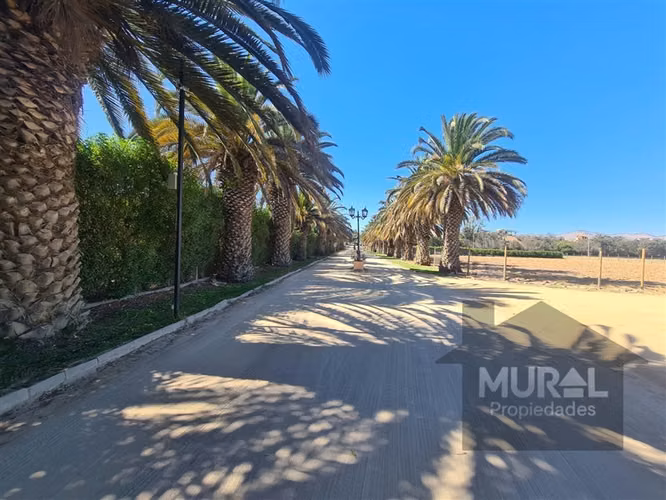 Vendo Ultimas Parcelas,condominio seguro,Trebulco,I d Maipo - Imagen 25