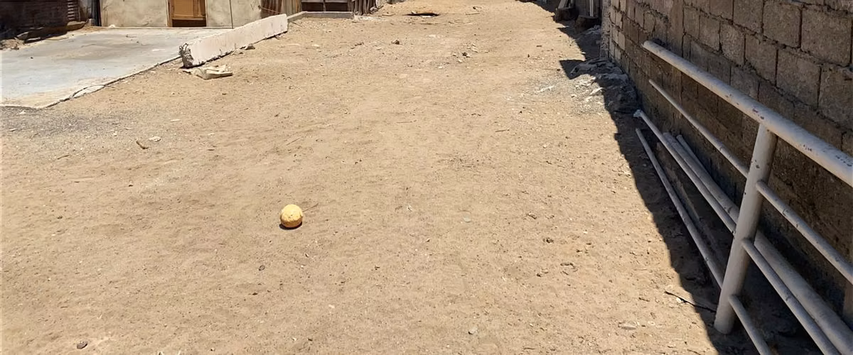 Propiedad en Venta - Terreno 300 m² (10x30) - Hermógenes Alfaro $ - Imagen 4