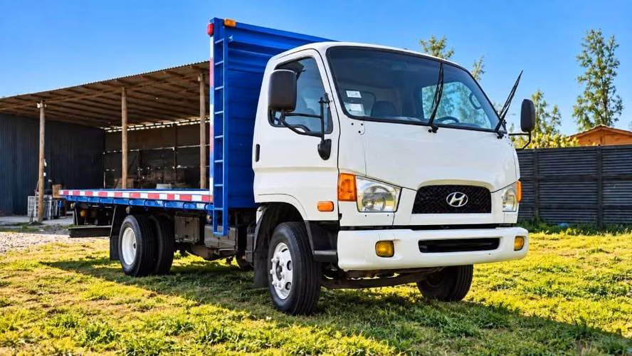 HYUNDAI HD78 2009 – POCO KILOMETRAJE - Imagen 3