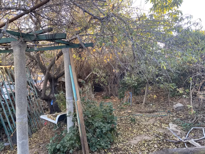 Propiedad 774 m2, Las Rosas - Imagen 8
