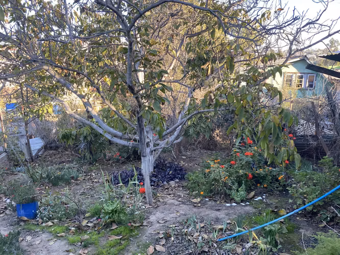 Propiedad 774 m2, Las Rosas - Imagen 7