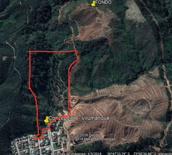 Gran Sitio en Vilumanque - Concepción