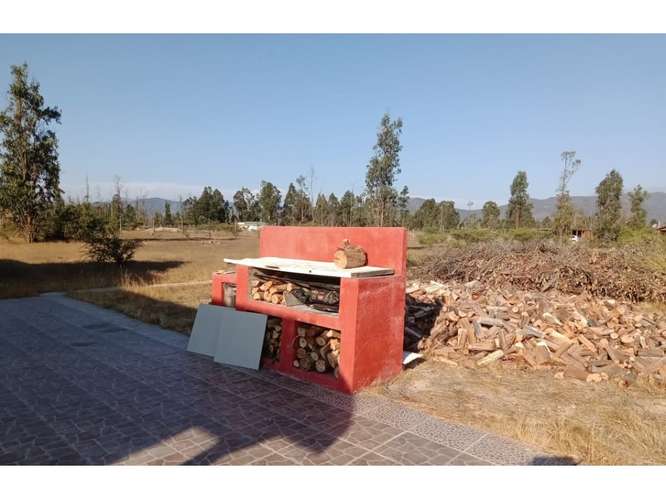Oferta parcela con casa en Foresta de Zapallar - Imagen 8