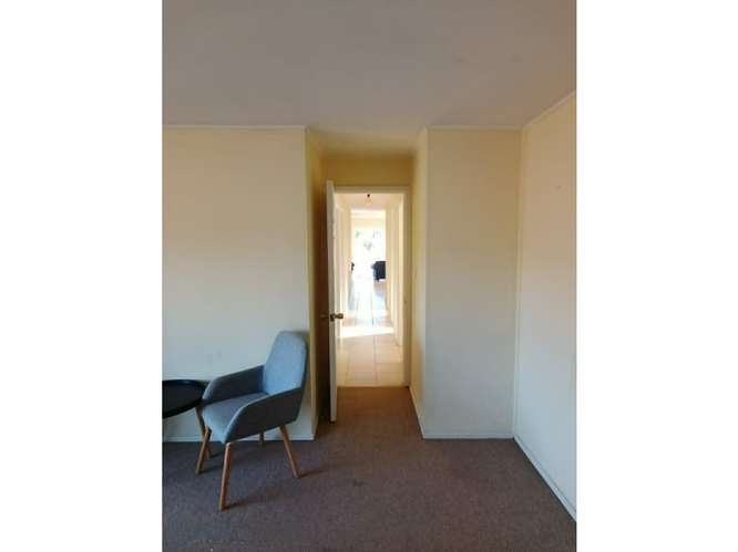 Oferta parcela con casa en Foresta de Zapallar - Imagen 19
