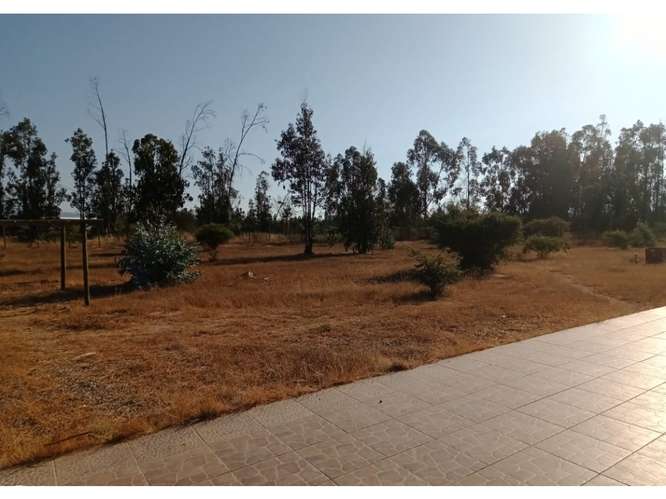 Oferta parcela con casa en Foresta de Zapallar - Imagen 3