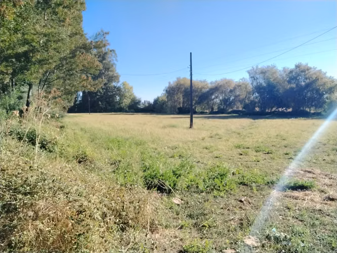 PROPIEDAD AGRICOLA, CAMPO DE 39,7 HA CON AGUA EN COLBÚN