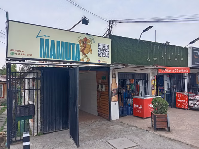 Calle Perpetua Freire 1030, Amplio Giros