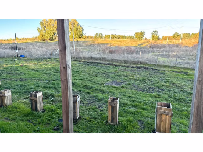 EXCLUSIVA OFERTA POR TIEMPO LIMITADO!! PARCELA DE 6.400 M2  CON CABAÑA - Imagen 19