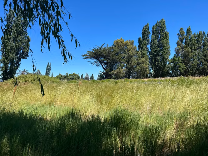 PARCELAS AGRICOLAS A 9.5 KM DE LOS ÁNGELES