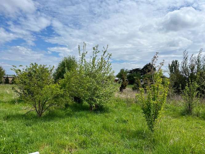 PARCELA CON CASA  Y RIEGO CAMINO A CERRO COLORADO LOS ÁNGELES