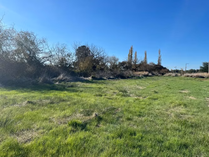 BELLA PARCELA DE 6.327 M2 A 5 MINUTOS DE LOS ÁNGELES - Imagen 5