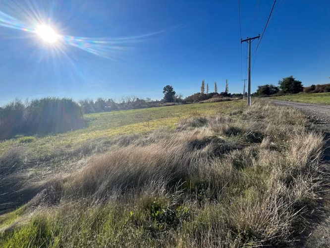 BELLA PARCELA DE 6.327 M2 A 5 MINUTOS DE LOS ÁNGELES - Imagen 16