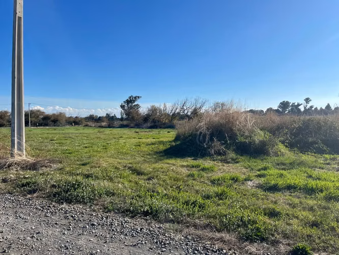 BELLA PARCELA DE 6.327 M2 A 5 MINUTOS DE LOS ÁNGELES - Imagen 26