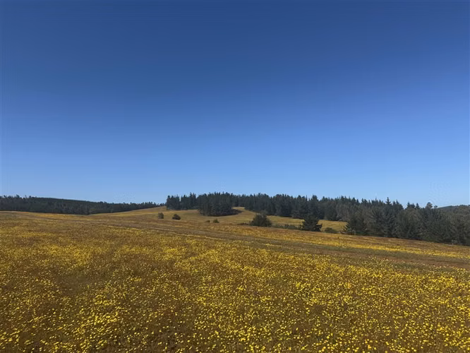 Sitio en venta en Pichilemu/ Lo Gallardo - Imagen 40