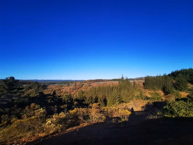 Sitio en venta en Pichilemu/ Lo Gallardo - Imagen 11