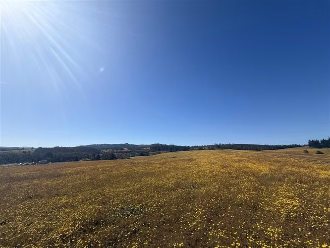 Sitio en venta en Pichilemu/ Lo Gallardo - Imagen 46