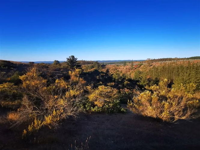 Sitio en venta en Pichilemu/ Lo Gallardo - Imagen 17