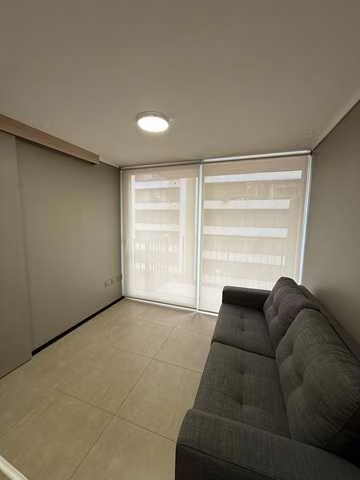 Arriendo amplio Dpto 1D amoblado  (184095)