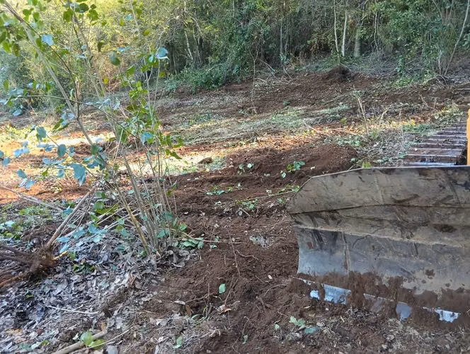 Terreno con bosque nativo