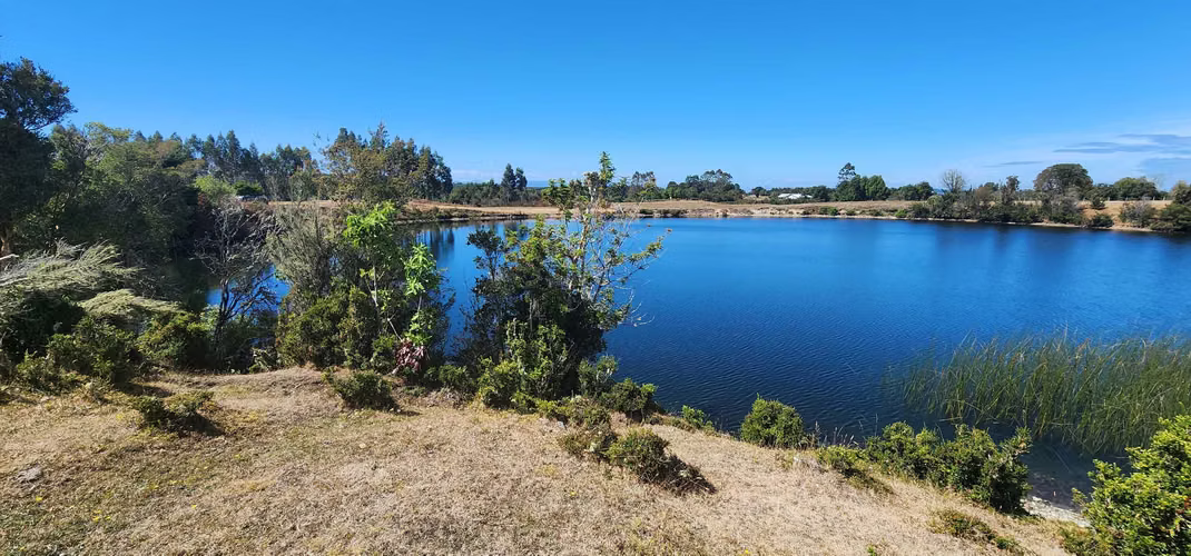 VENTA TERRENO EN RULO COMUNA DE CALBUCO (184119) - Imagen 5