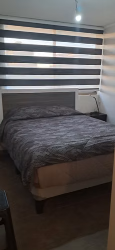 SE ARRIENDA DEPARTAMENTO AMOBLADO PROVIDENCIA - Imagen 5