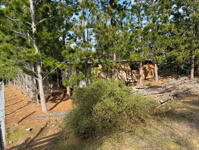 PARCELA 5000 M2 EN ALTO PICHILEMU - Imagen 16