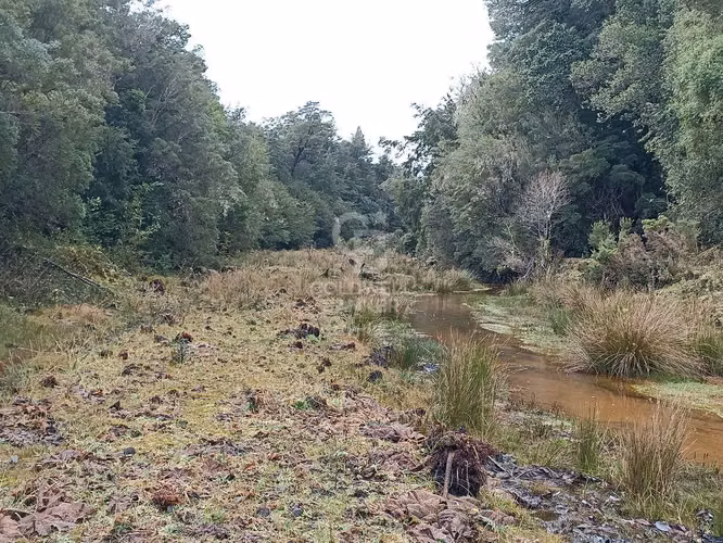 Parcela de 1 hectárea Río Chamiza - Imagen 4
